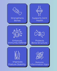 Bone & Muscle Support Pack