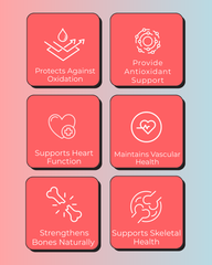 Muscle & Bone Vitality Combo