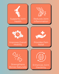 Joints and Magnesium Support