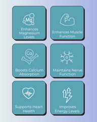 Bone Density Kit