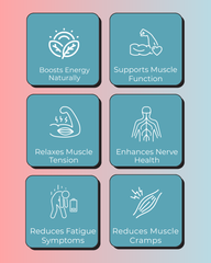 Muscle & Bone Vitality Combo