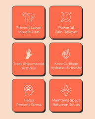 ArthroMax